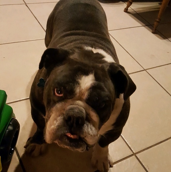 Meet your Posher, Keely - Picture 1 of 1